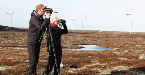 Datadugnad for naturens mangfold